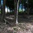  Terreno (Parcela) en venta en Othon P Blanco, Quintana Roo, Othon P Blanco