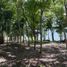 Terreno (Parcela) en venta en Othon P Blanco, Quintana Roo, Othon P Blanco