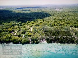  Terreno (Parcela) en venta en Othon P Blanco, Quintana Roo, Othon P Blanco