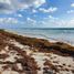  Grundstück zu verkaufen in Othon P Blanco, Quintana Roo, Othon P Blanco