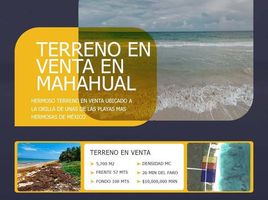  Grundstück zu verkaufen in Othon P Blanco, Quintana Roo, Othon P Blanco