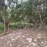  Land for sale in Othon P Blanco, Quintana Roo, Othon P Blanco
