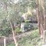 Land for sale in Othon P Blanco, Quintana Roo, Othon P Blanco