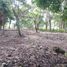  Land for sale in Othon P Blanco, Quintana Roo, Othon P Blanco