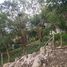  Land for sale in Othon P Blanco, Quintana Roo, Othon P Blanco