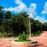  Terreno (Parcela) en venta en Cozumel, Quintana Roo, Cozumel