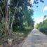  Grundstück zu verkaufen in Othon P Blanco, Quintana Roo, Othon P Blanco