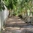  Grundstück zu verkaufen in Othon P Blanco, Quintana Roo, Othon P Blanco