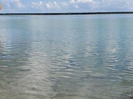 Grundstück zu verkaufen in Othon P Blanco, Quintana Roo, Othon P Blanco
