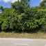  Terrain for sale in Quintana Roo, Othon P Blanco, Quintana Roo