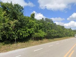  Terrain for sale in Quintana Roo, Othon P Blanco, Quintana Roo