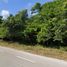  Terrain for sale in Quintana Roo, Othon P Blanco, Quintana Roo