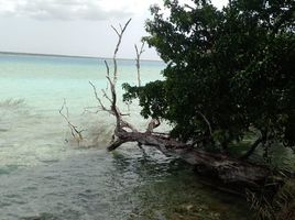  Grundstück zu verkaufen in Othon P Blanco, Quintana Roo, Othon P Blanco