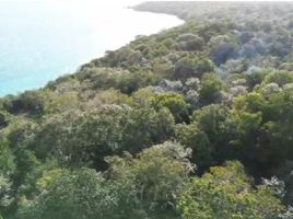  Grundstück zu verkaufen in Othon P Blanco, Quintana Roo, Othon P Blanco
