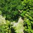  Terreno (Parcela) en venta en Othon P Blanco, Quintana Roo, Othon P Blanco