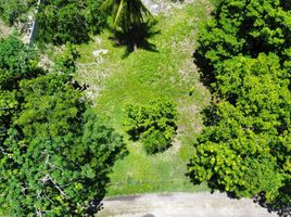 Terreno (Parcela) en venta en Othon P Blanco, Quintana Roo, Othon P Blanco