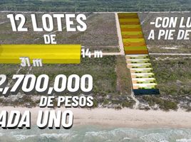  Grundstück zu verkaufen in Hunucma, Yucatan, Hunucma