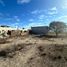  Terreno (Parcela) en venta en Tequisquiapan, Querétaro, Tequisquiapan