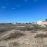  Terreno (Parcela) en venta en Tequisquiapan, Querétaro, Tequisquiapan