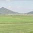  Land for sale in Tlanalapa, Hidalgo, Tlanalapa