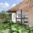  Grundstück zu verkaufen in Cozumel, Quintana Roo, Cozumel