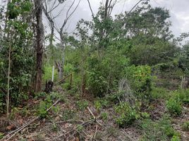  Terreno (Parcela) en venta en Othon P Blanco, Quintana Roo, Othon P Blanco