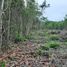  Terreno (Parcela) en venta en Othon P Blanco, Quintana Roo, Othon P Blanco