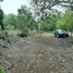  Terreno (Parcela) en venta en Othon P Blanco, Quintana Roo, Othon P Blanco