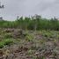  Terreno (Parcela) en venta en Othon P Blanco, Quintana Roo, Othon P Blanco