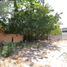  Land for sale in Merida, Yucatan, Merida, Yucatan