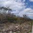 Grundstück zu verkaufen in Hunucma, Yucatan, Hunucma