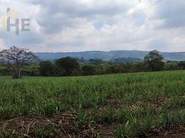 在Coatepec, Veracruz出售的 土地, Coatepec