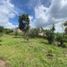 3 Bedroom House for sale in Coatepec, Veracruz, Coatepec