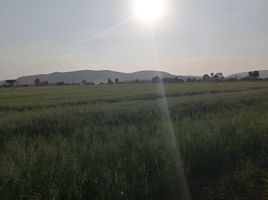  Grundstück zu verkaufen in Tequisquiapan, Queretaro, Tequisquiapan