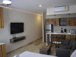 1 Schlafzimmer Wohnung zu verkaufen in Cozumel, Quintana Roo, Cozumel