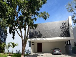 Maison 3 chambre à vendre à Conkal, Yucatan, Conkal