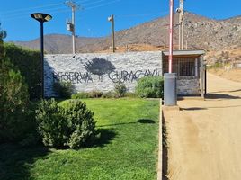  Land for sale in Chile, Curacavi, Melipilla, Santiago, Chile