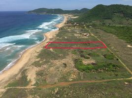  Grundstück zu verkaufen in Petatlan, Guerrero, Petatlan