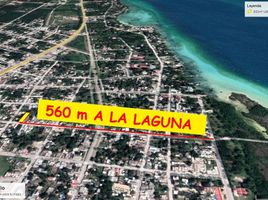  Land for sale in Othon P Blanco, Quintana Roo, Othon P Blanco