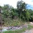  Terreno (Parcela) en venta en Cancún, Quintana Roo, Cancún