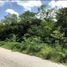  Terreno (Parcela) en venta en Merida, Yucatán, Merida