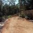  Terreno (Parcela) en venta en Cozumel, Quintana Roo, Cozumel, Quintana Roo