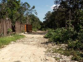  Terreno (Parcela) en venta en Cozumel, Quintana Roo, Cozumel, Quintana Roo
