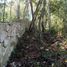  Terreno (Parcela) en venta en Cozumel, Quintana Roo, Cozumel, Quintana Roo