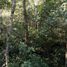  Terreno (Parcela) en venta en Cozumel, Quintana Roo, Cozumel, Quintana Roo