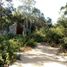 Terreno (Parcela) en venta en Cozumel, Quintana Roo, Cozumel, Quintana Roo
