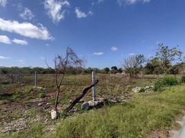  Terreno (Parcela) en venta en Merida, Yucatán, Merida