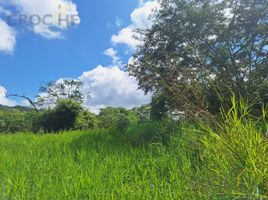  Terreno (Parcela) en venta en Coatepec, Veracruz, Coatepec