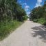  Grundstück zu verkaufen in Othon P Blanco, Quintana Roo, Othon P Blanco