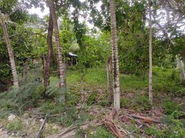  Grundstück zu verkaufen in Othon P Blanco, Quintana Roo, Othon P Blanco